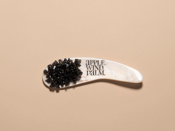 Seashell Cosmetic Spatula Spoon